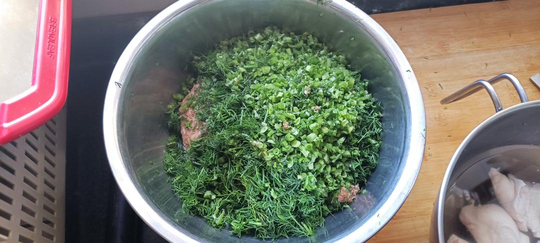 小茴香苗猪肉水饺