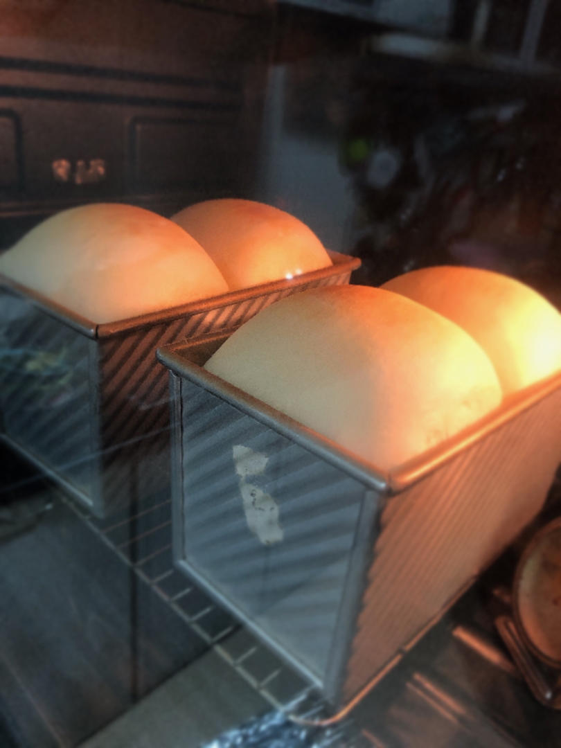 超绵软de‼️皇后吐司💯一口就沦陷✔️