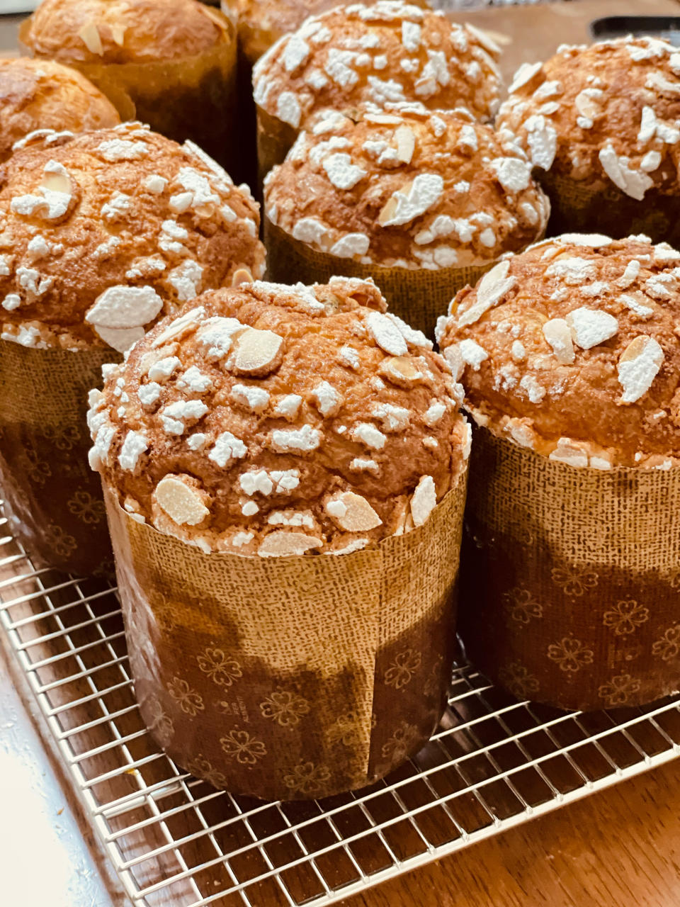 贪吃的小猫鱼做的意大利水果面包潘娜托尼