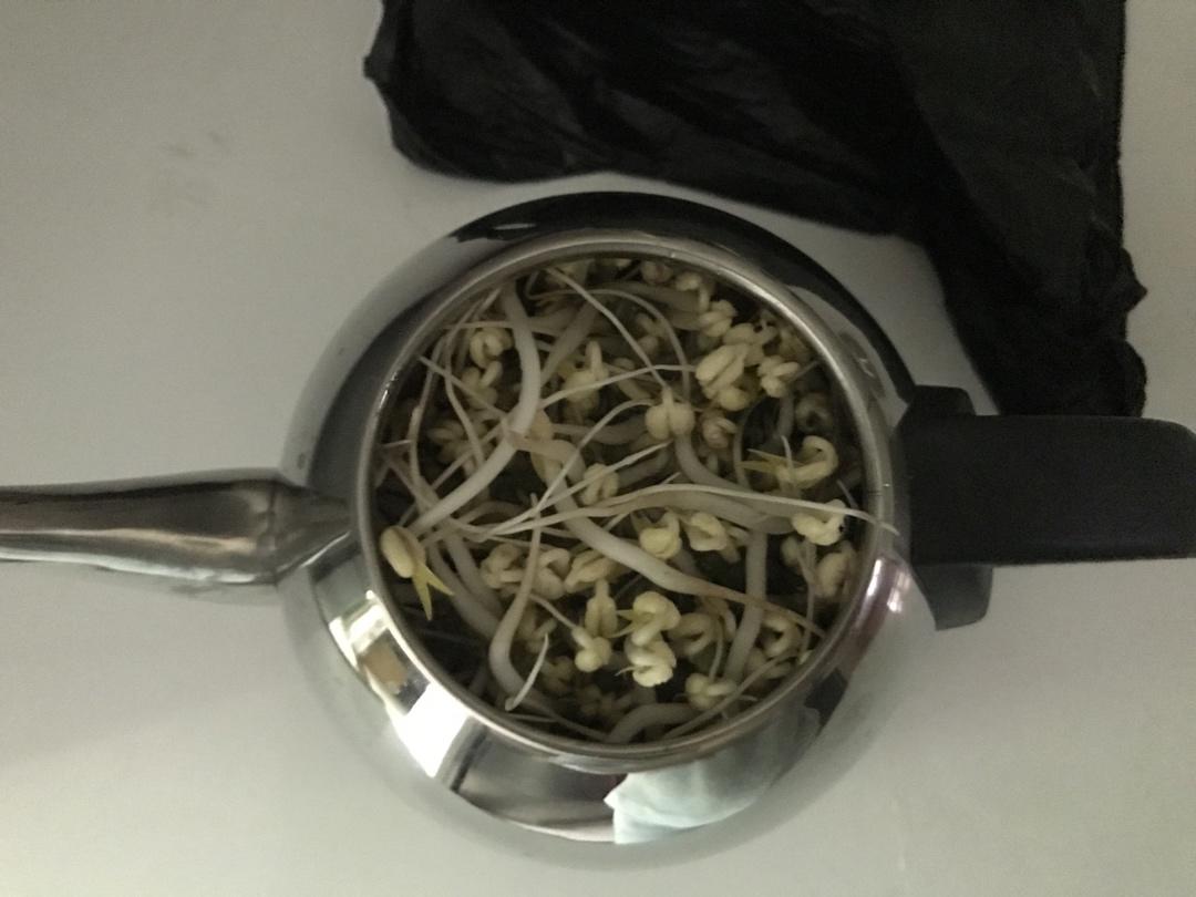自发豆芽👉👉不用豆芽机版且附操作视频
