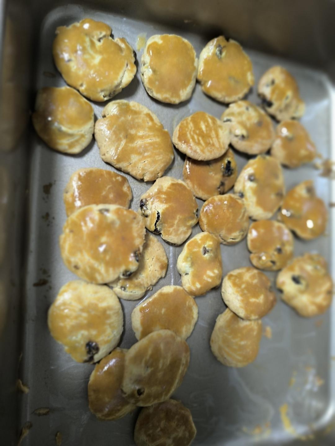 酥到掉渣❗️复刻鲍师傅同款提子奶酥🔥0失败配方