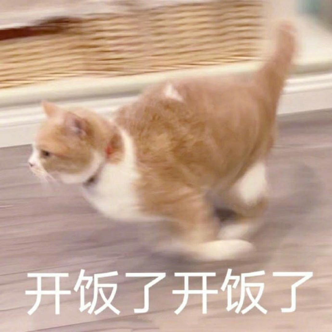 要努力喂饱自己