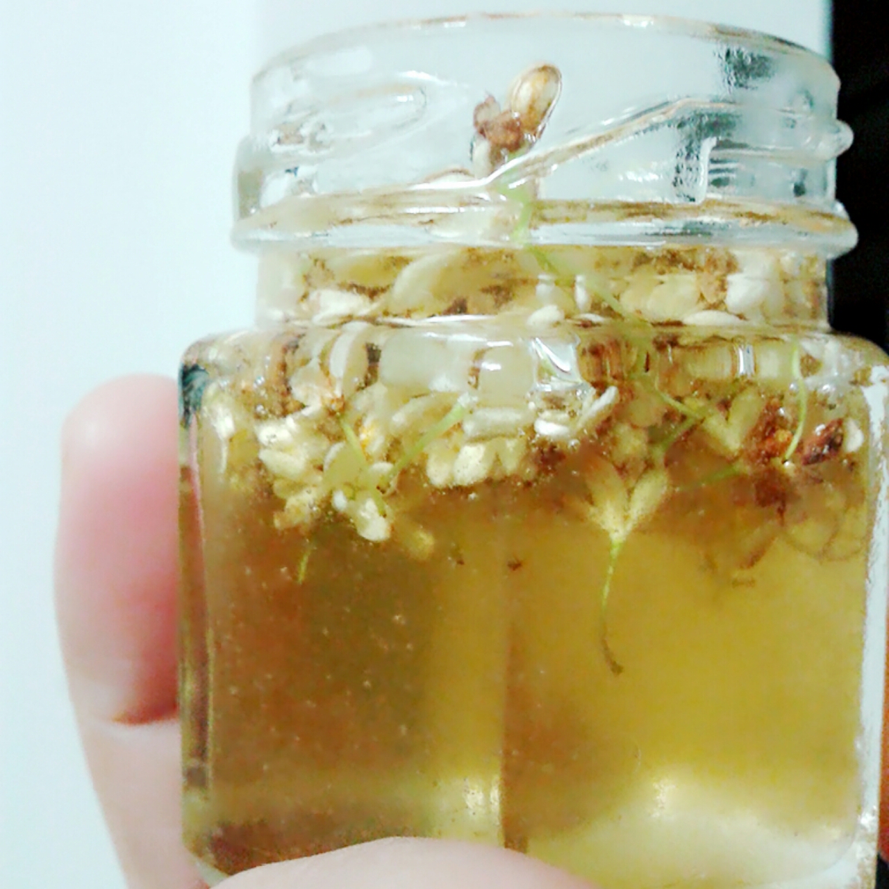 桂花酿蜂蜜