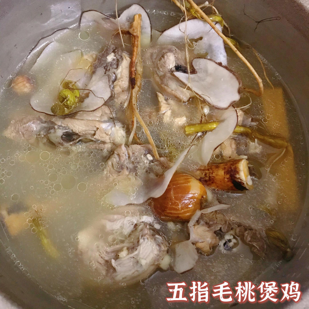 五指毛桃煲鸡 健脾化湿