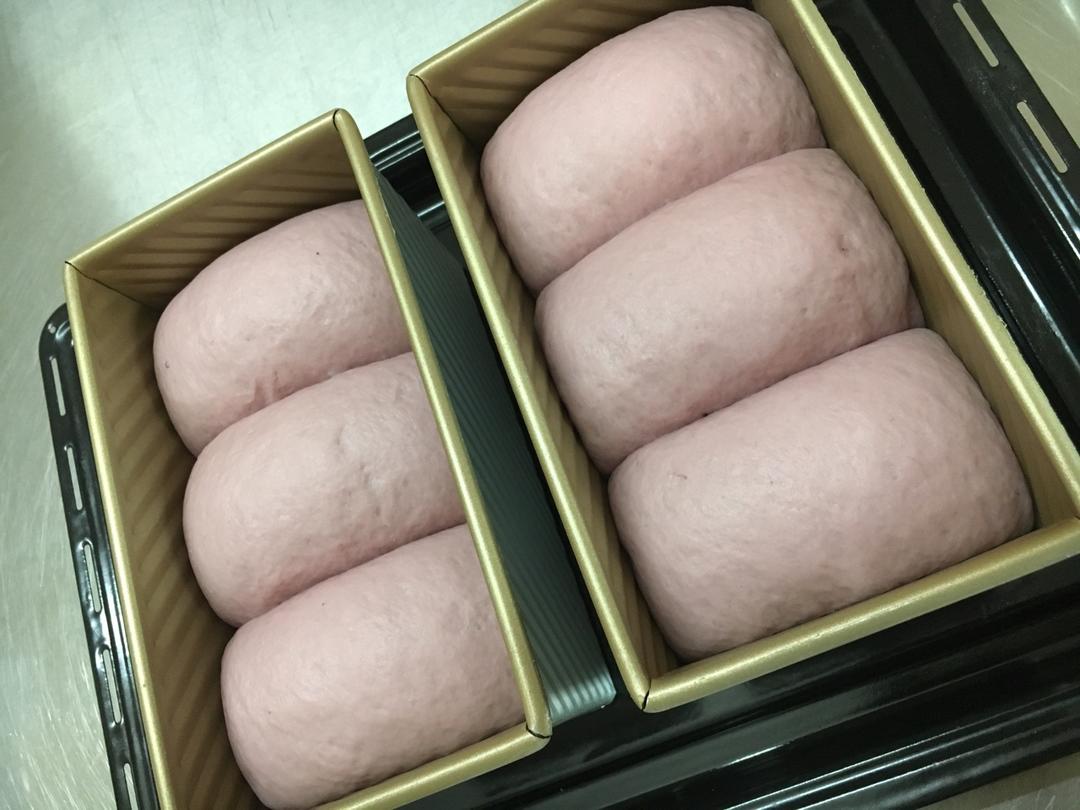 我的100个吐司练习