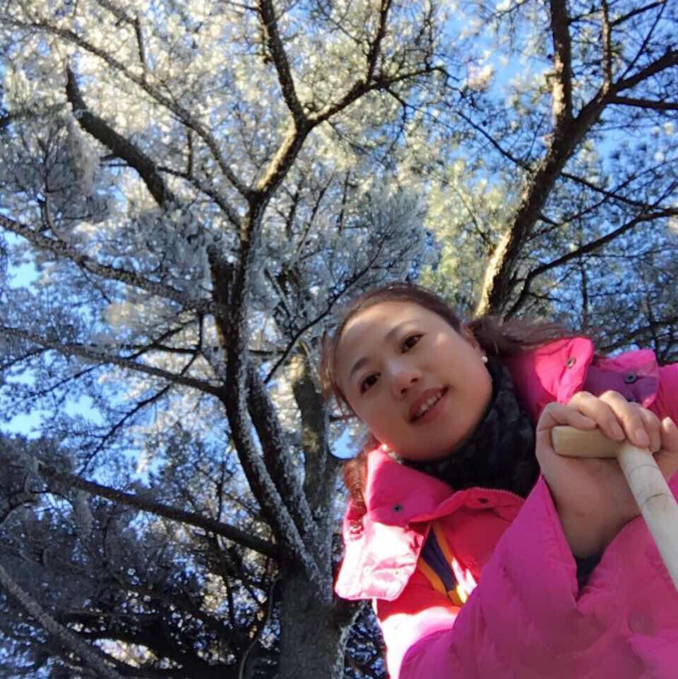 Daisydaiqi