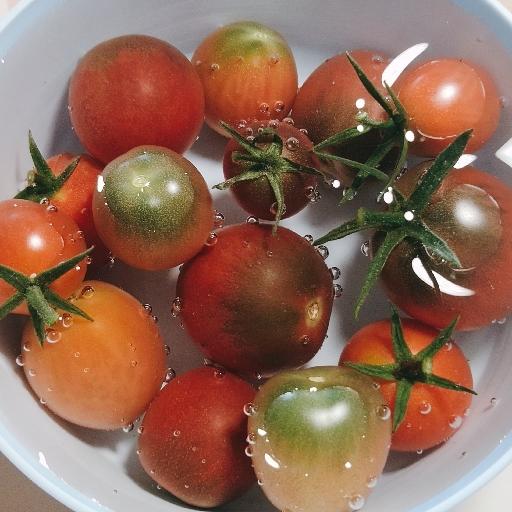 夏牧场