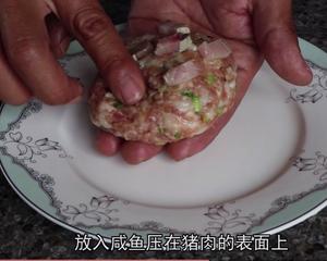 梅香咸鱼煎肉饼的做法 步骤3