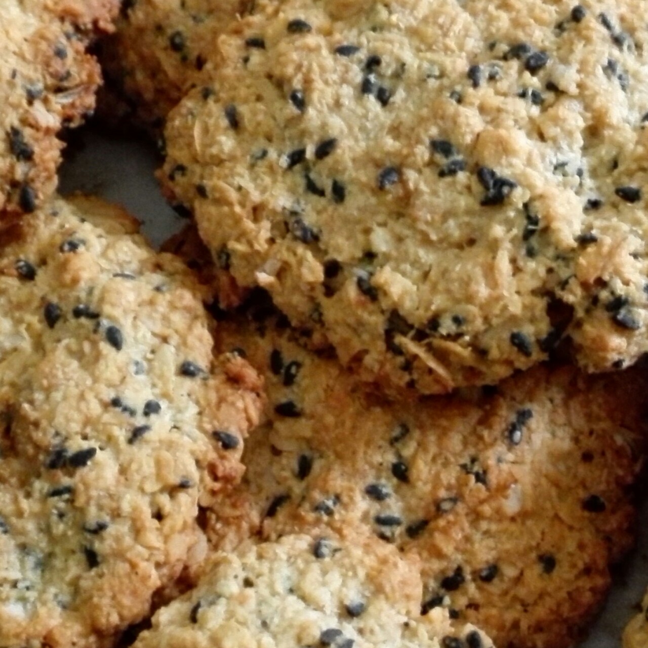 黑芝麻燕麦高纤饼干（无添加，另含植物油减脂配方）