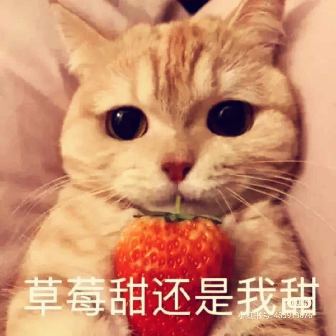叽里咕噜的小美好