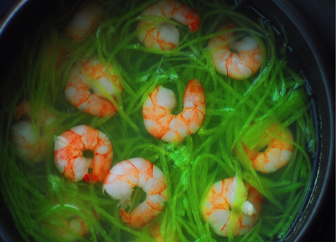 萝卜丝虾仁汤的做法