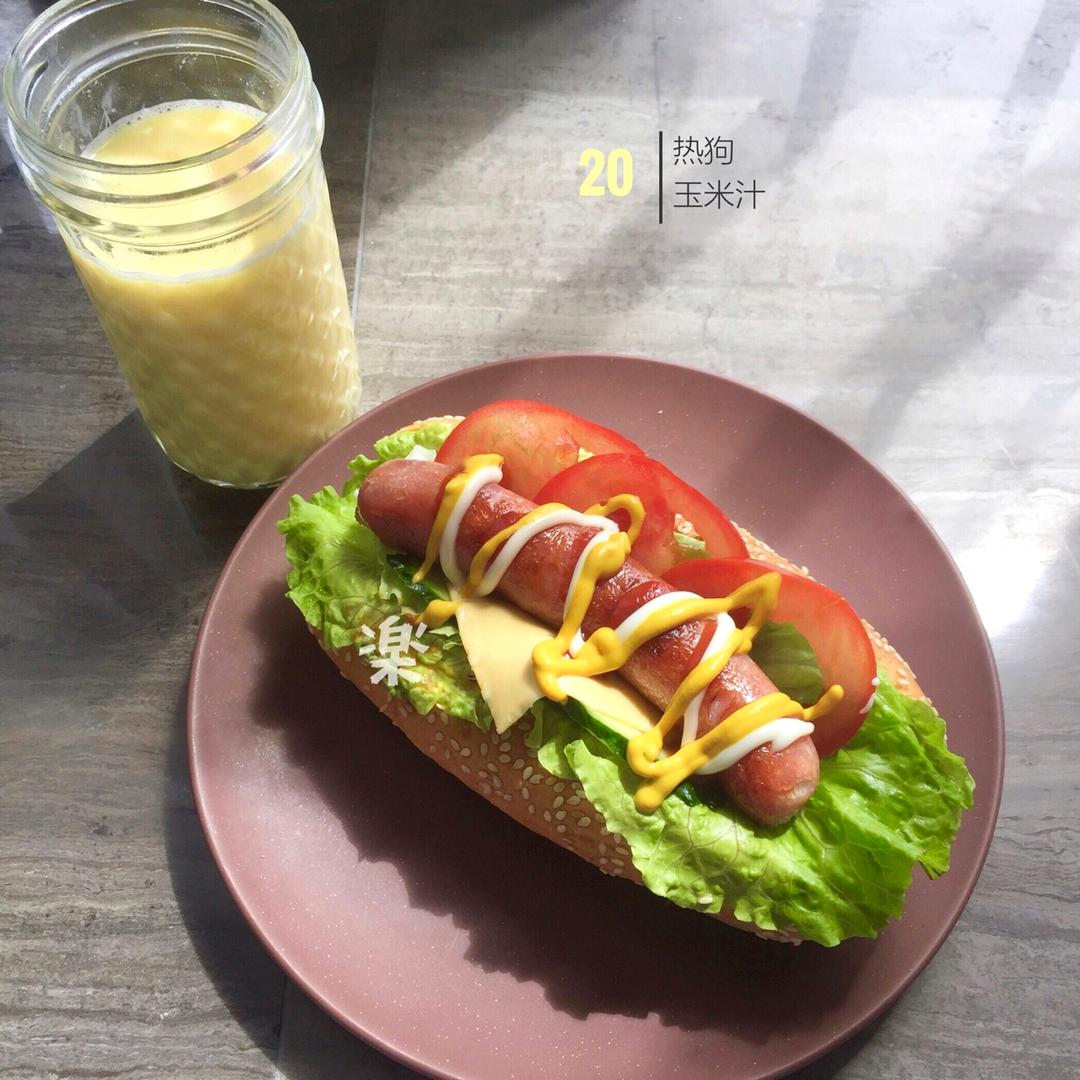 超可爱的Mini小热狗