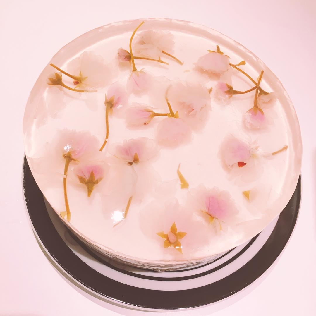 🌸樱花冻芝士蛋糕🌸6寸