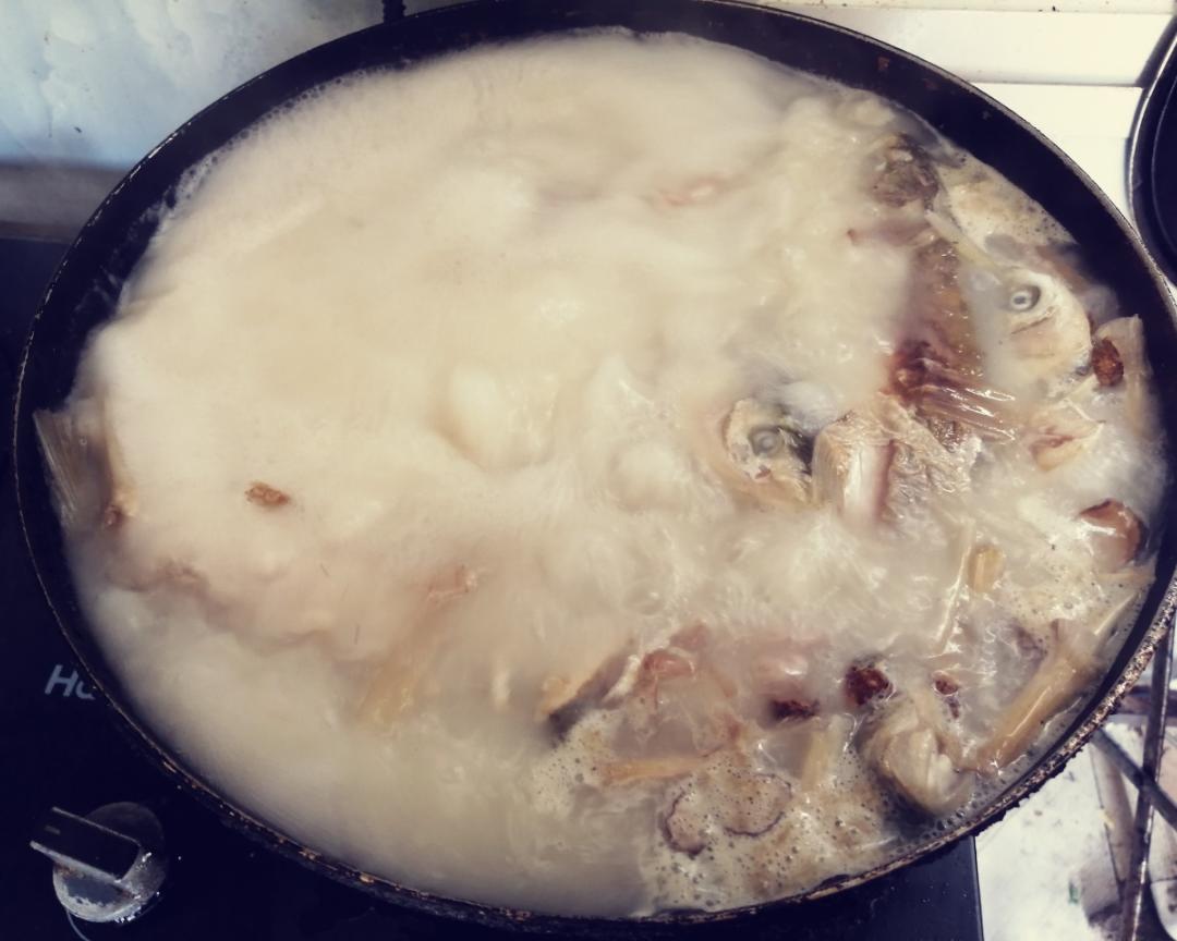 鲜美奶白鲢鱼汤