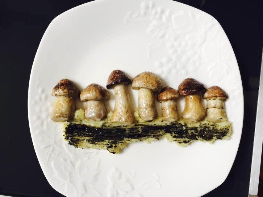 初夏的可爱小松茸菇