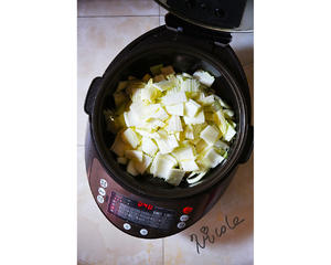 白菜土豆炖粉条（伊莱特炒菜机器人）的做法 步骤6