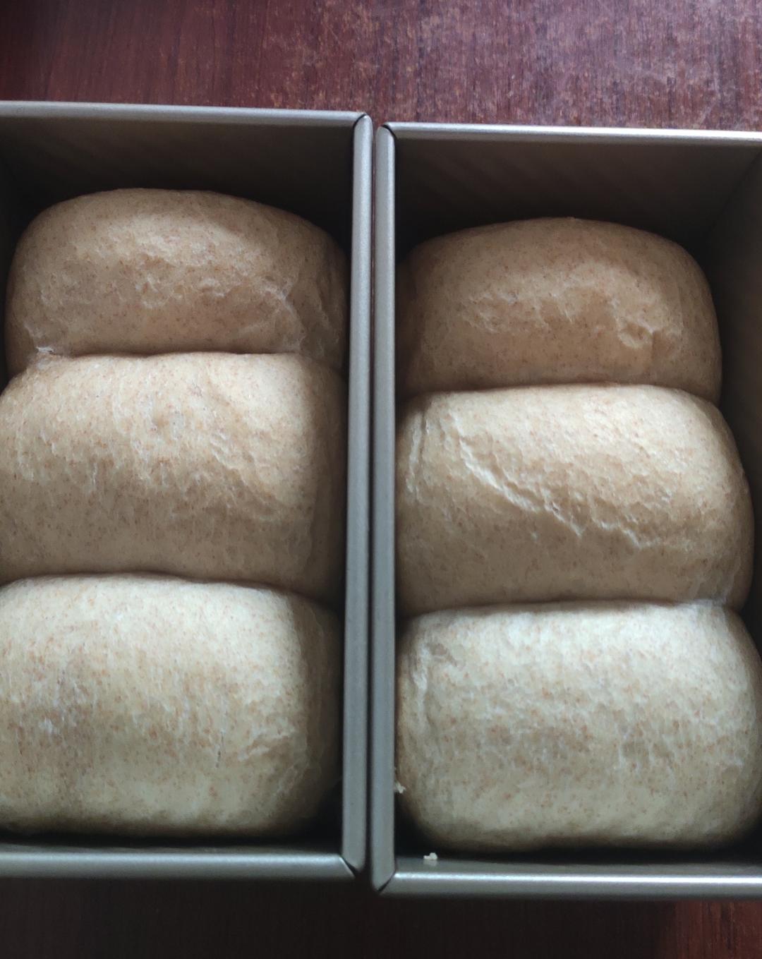 低脂健康全麦吐司