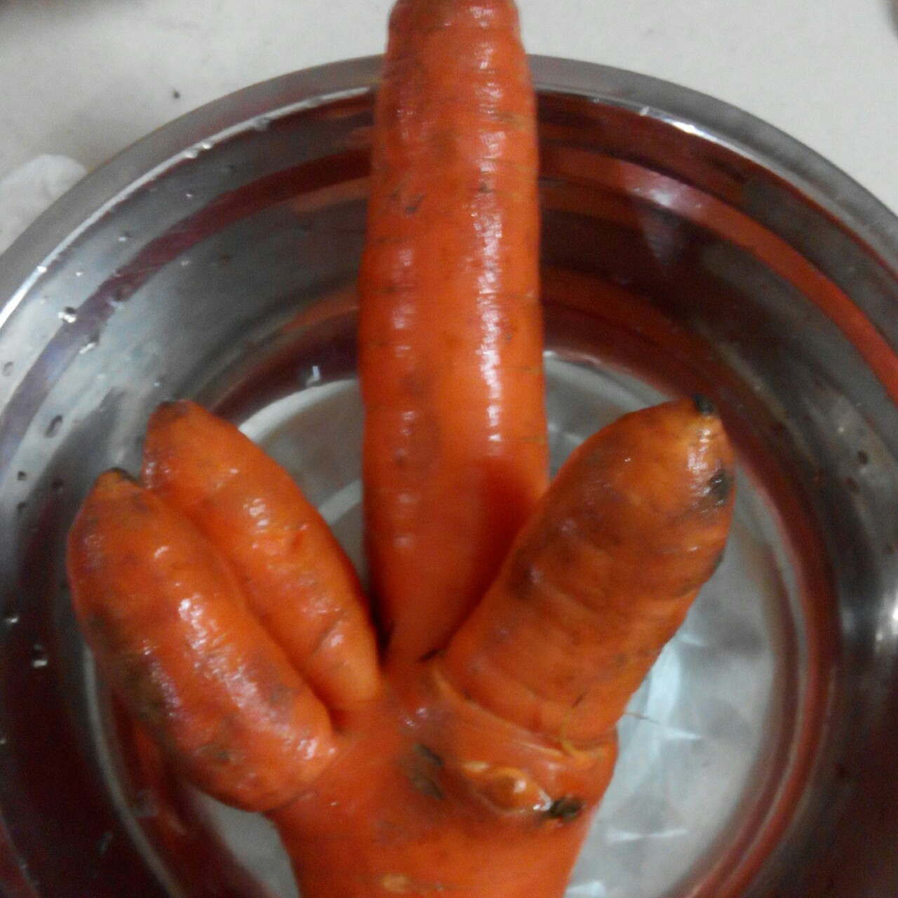 红萝卜炒肉丝