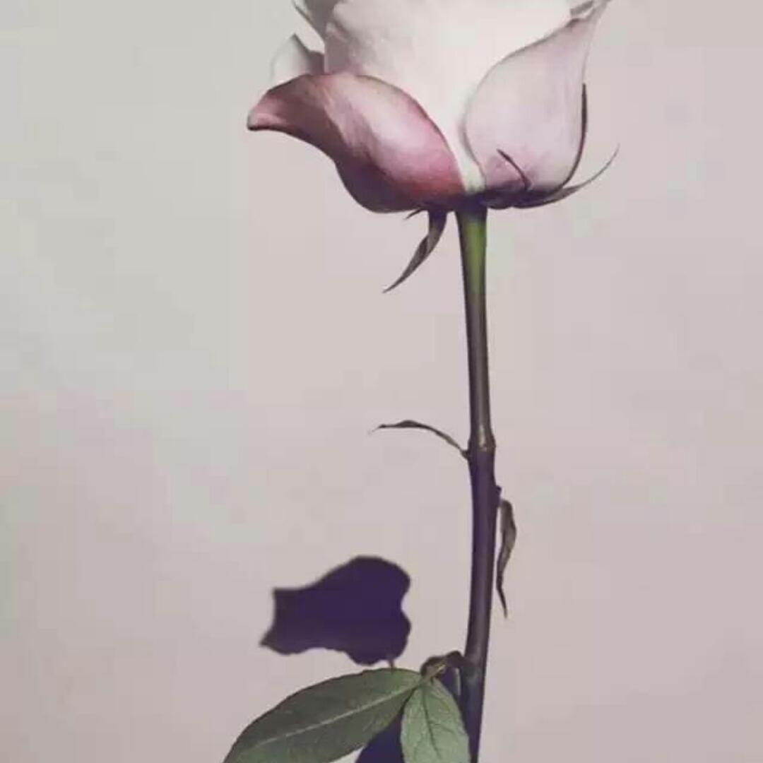 果米吧