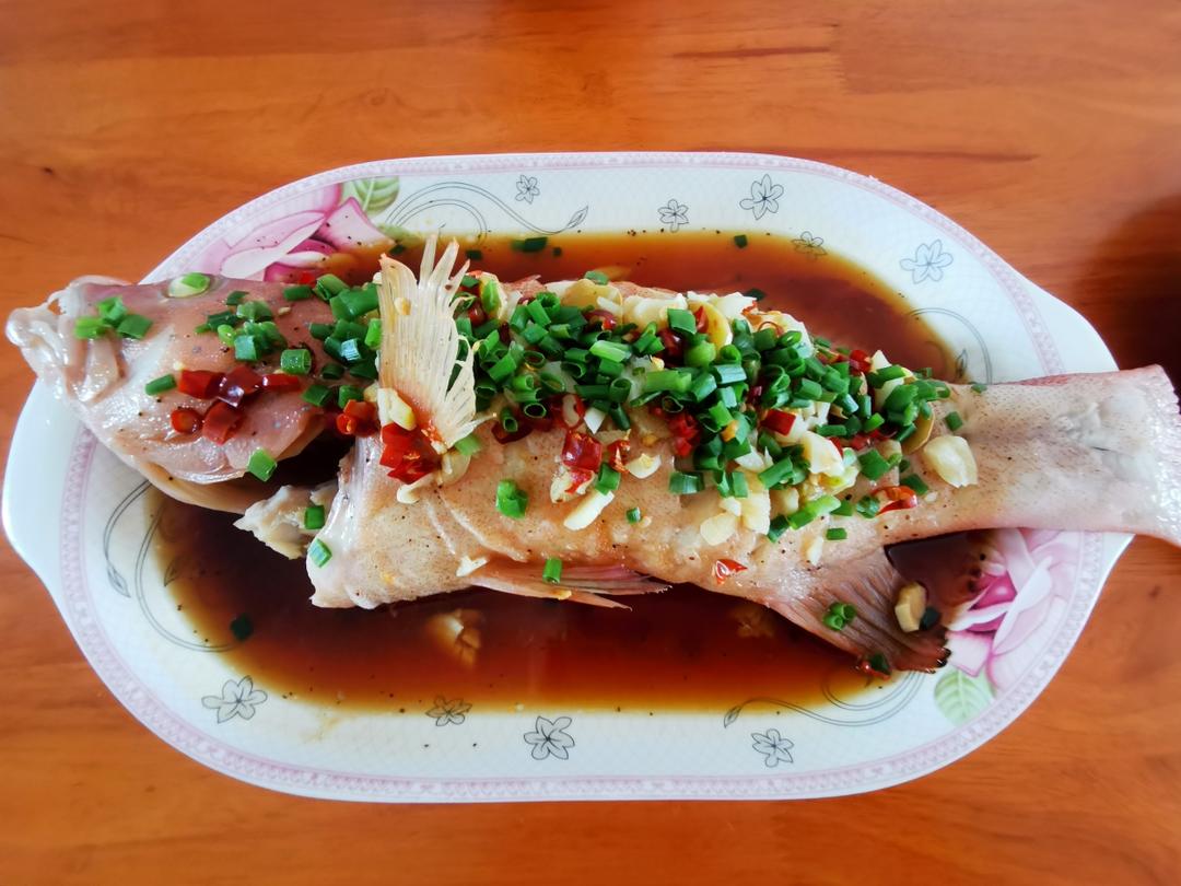 清蒸红星石斑的做法