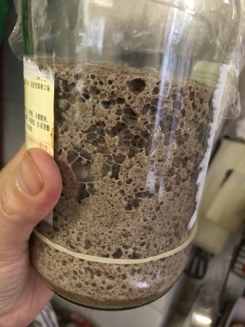 天然酵母鲁邦种培养日记（全麦面粉）成功
