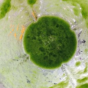 小黄瓜刨冰 凤梨芒果酱的做法 步骤4