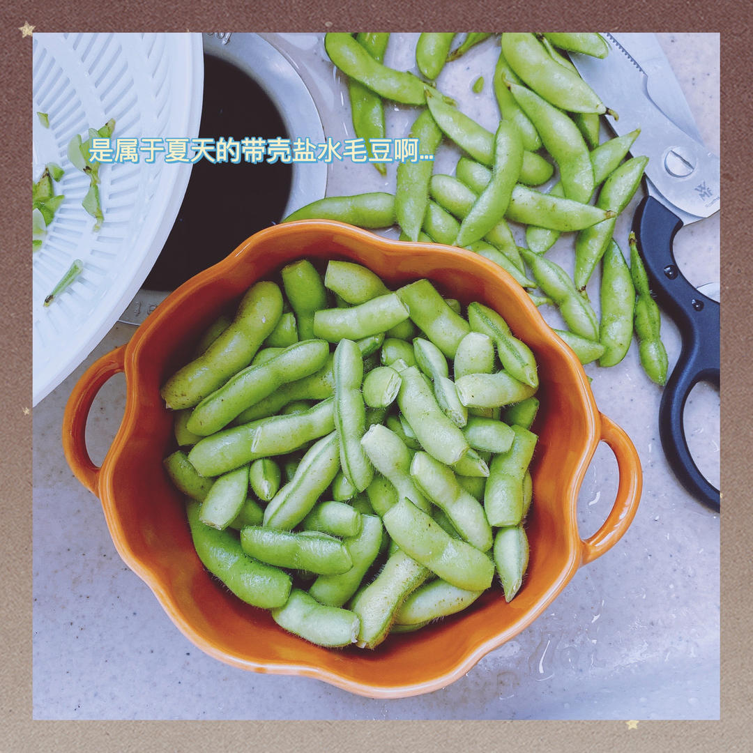 张姐-盐水毛豆（简单快捷下酒菜）