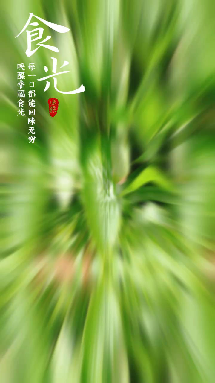 妈咪的♥️私房秘制咸蛋黄肉粽