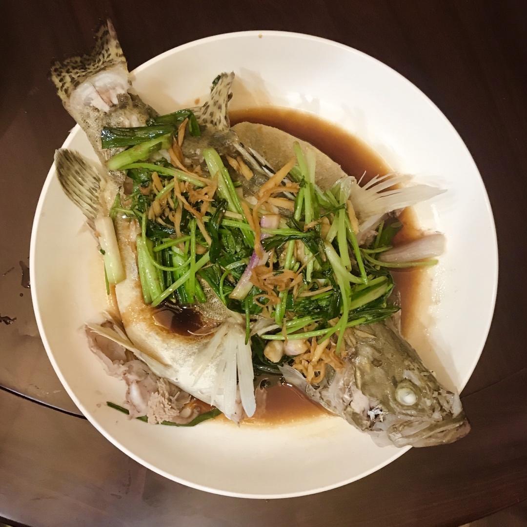 清蒸鱼（鲈鱼/多宝鱼/桂花鱼/石斑鱼……）