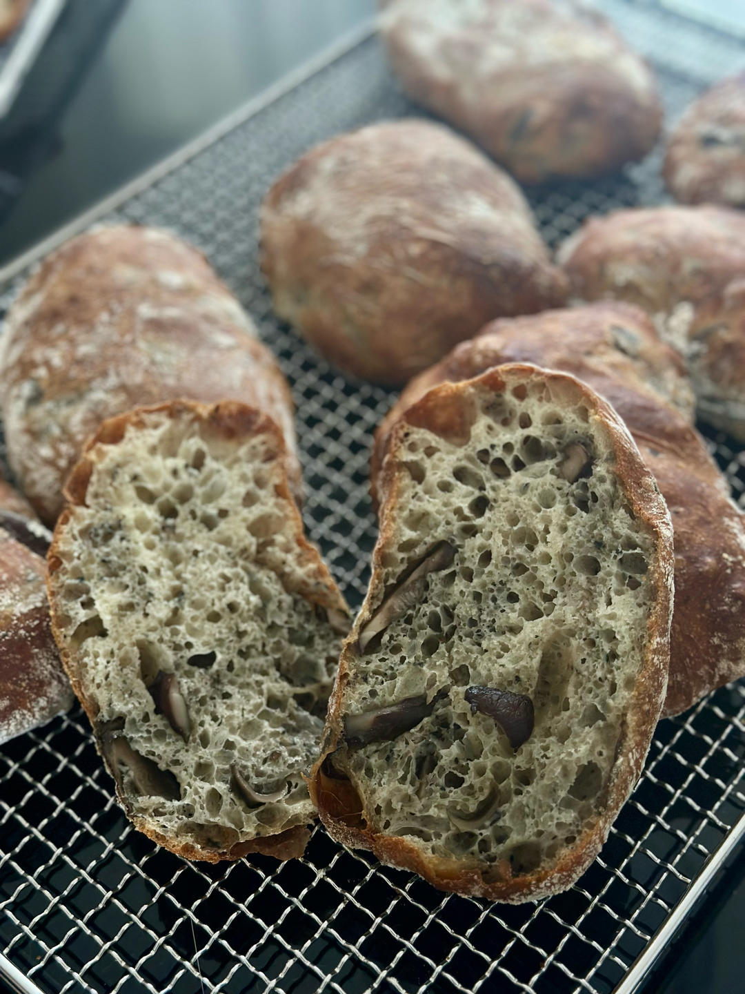 大孔奶酪恰巴塔