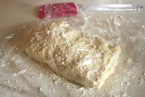 迷迭蒜香佛卡夏面包 Rosemary & Garlic Focaccia的做法 步骤7