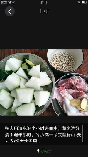 冬瓜薏米老鸭汤的做法 步骤1