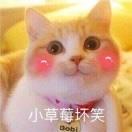 粉宝宝软兔兔