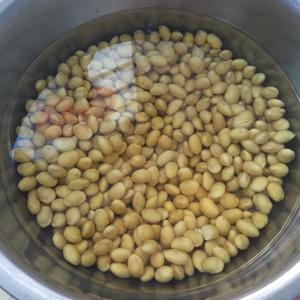 海带黄豆炖猪皮的做法 步骤2