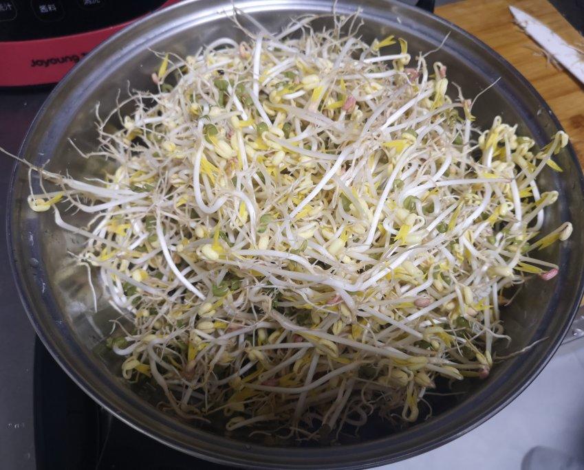 沥水篮发豆芽