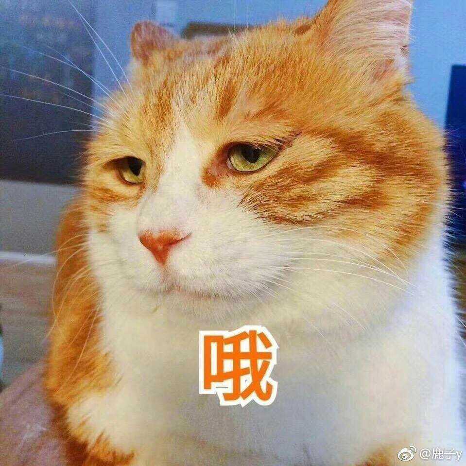 手机用户1835_tebn