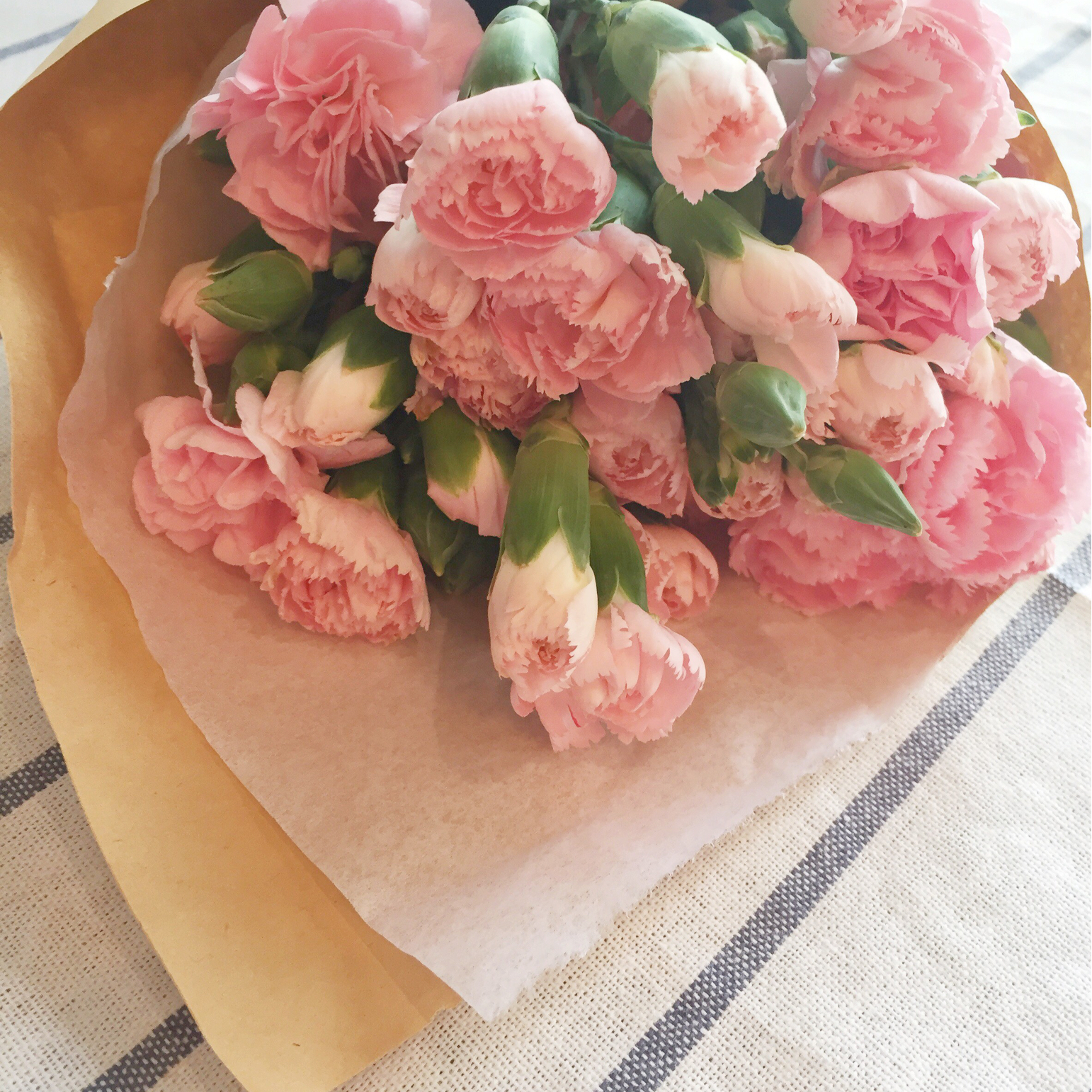 blue star少女杂货铺