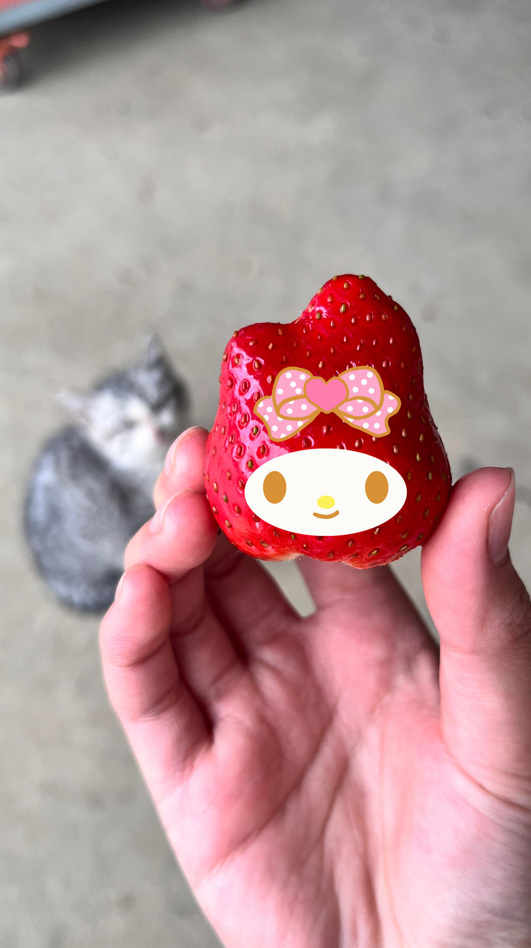 小妍and越挫越勇版