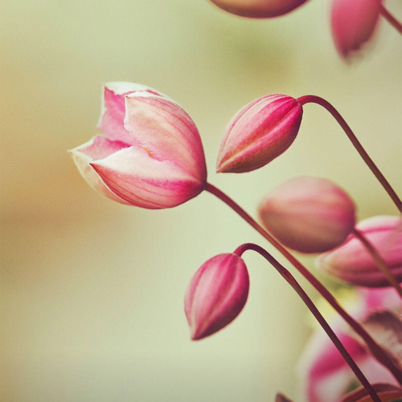 手机用户9155_m1rb