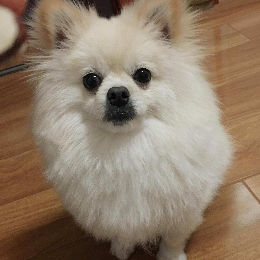 你现在是不是有点肚肚饿饿