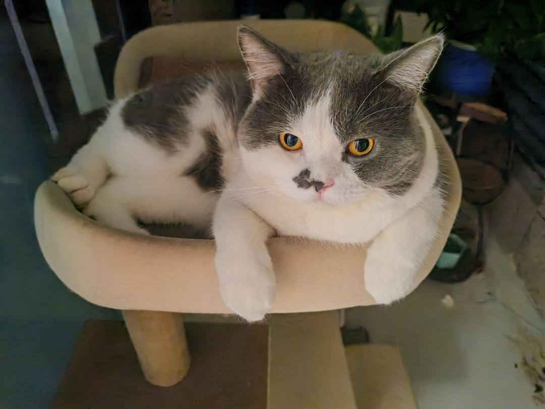 辉哥的私房菜
