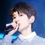 努力做肉的素食主义