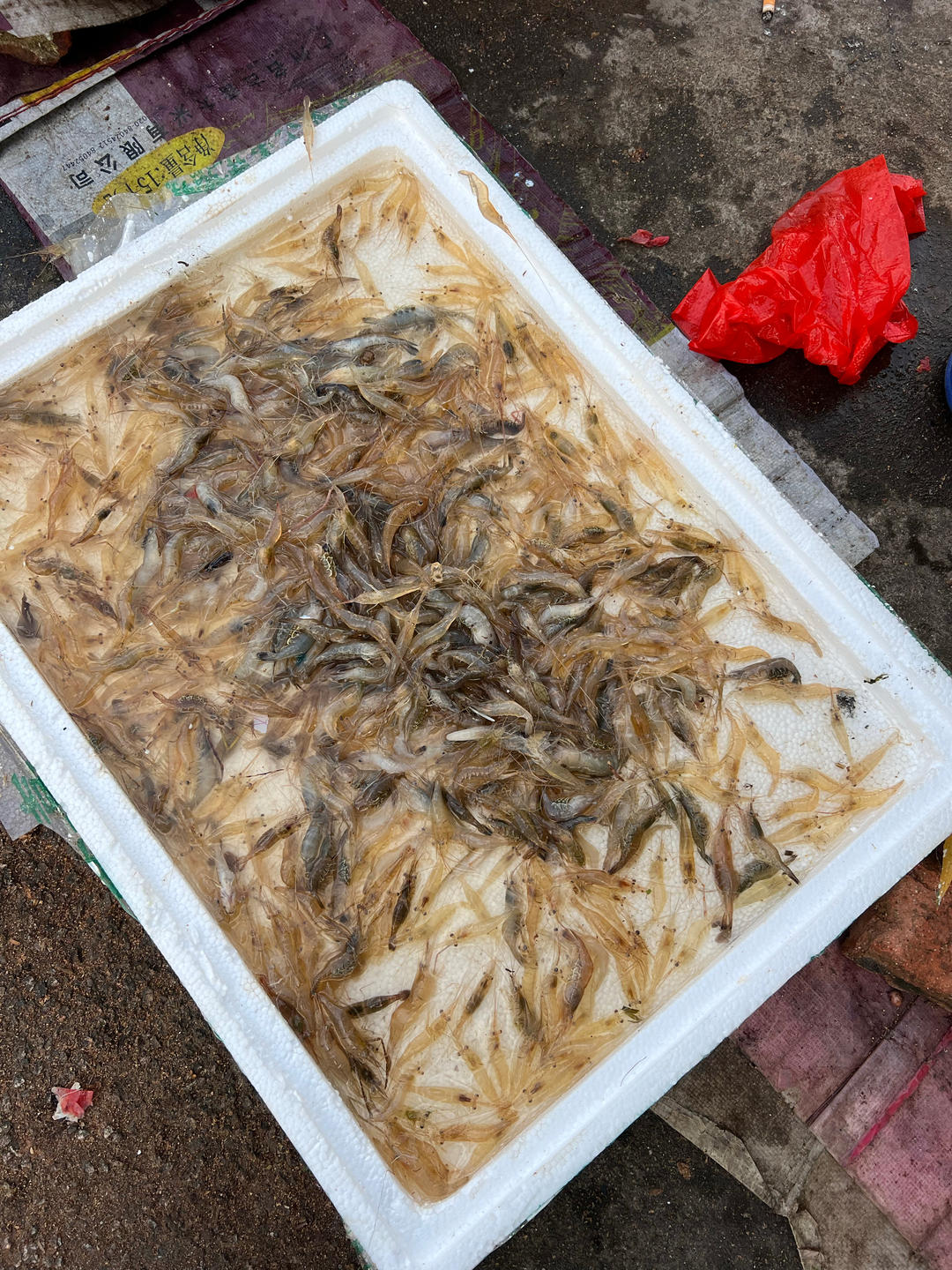 买菜的日子