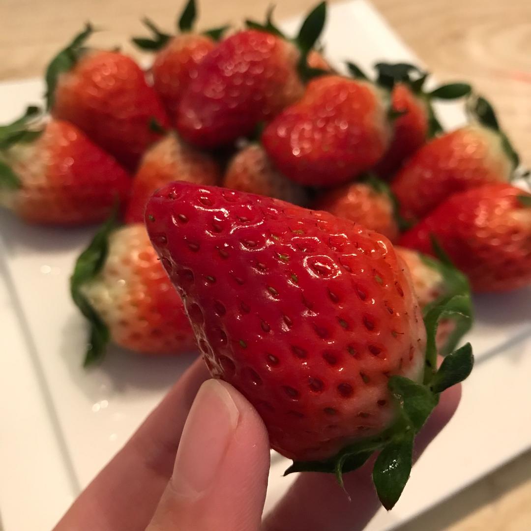 蛋挞～无淡奶油