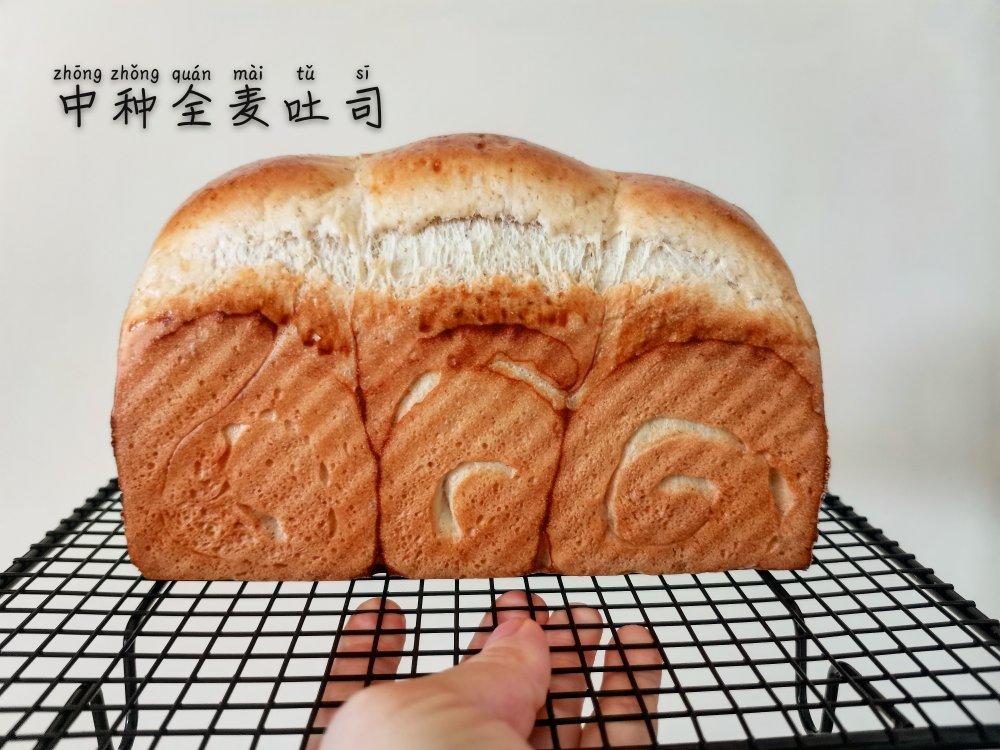 全麦吐司（70%冷藏中种法）