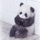 没得啥子奔驰