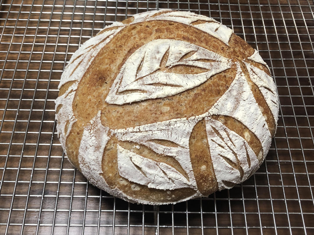 视频教程 天然酵种欧包 基础配方＆制作流程