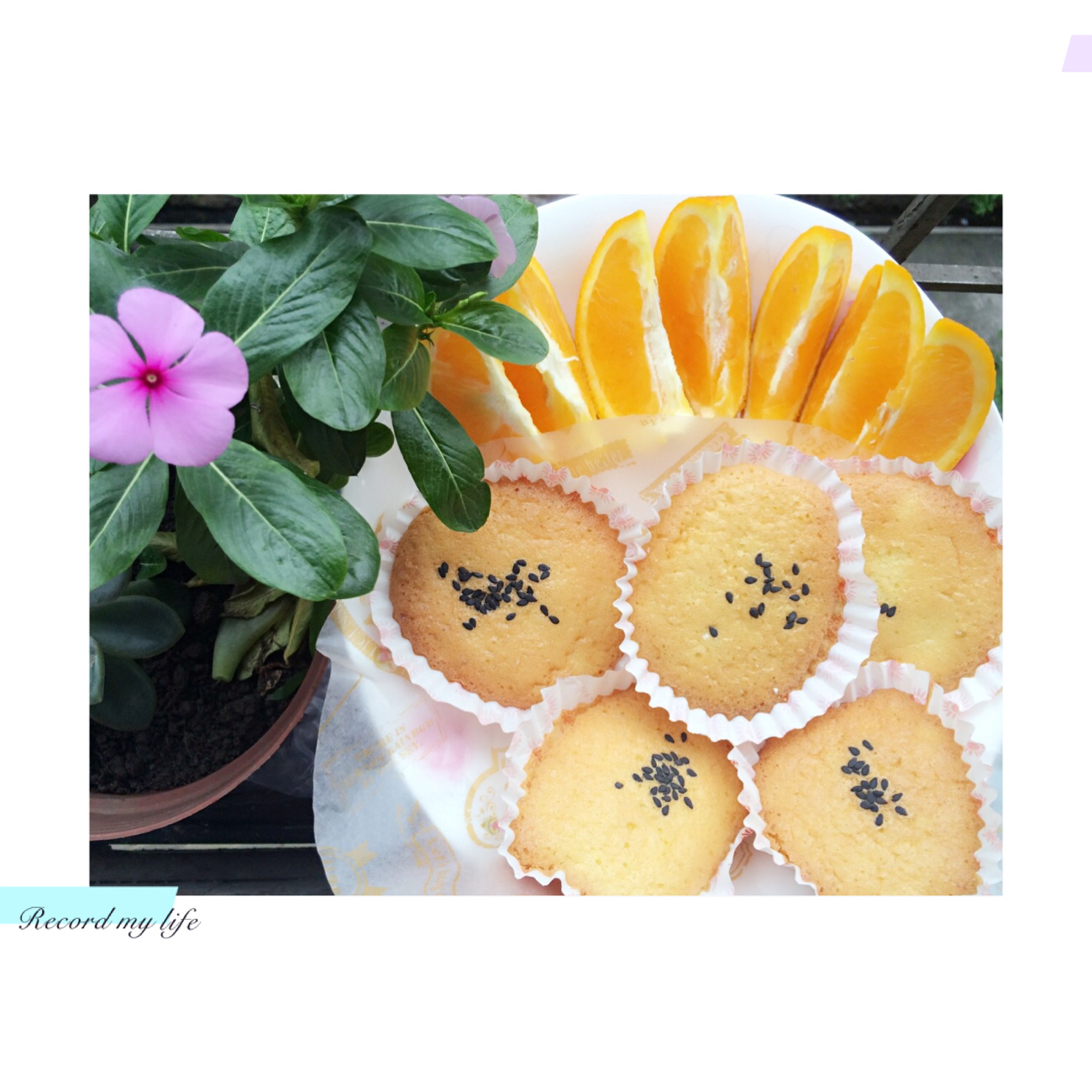 无油无水老式小蛋糕