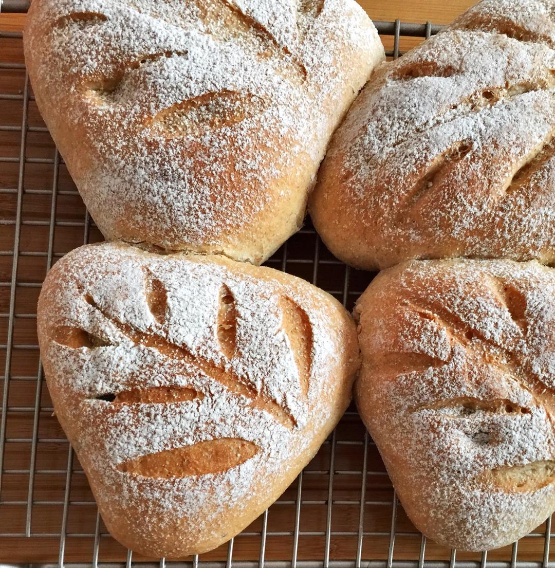 无油无糖全麦果干面包