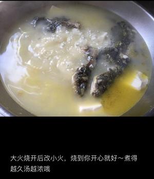 昂刺鱼豆腐汤的做法 步骤5